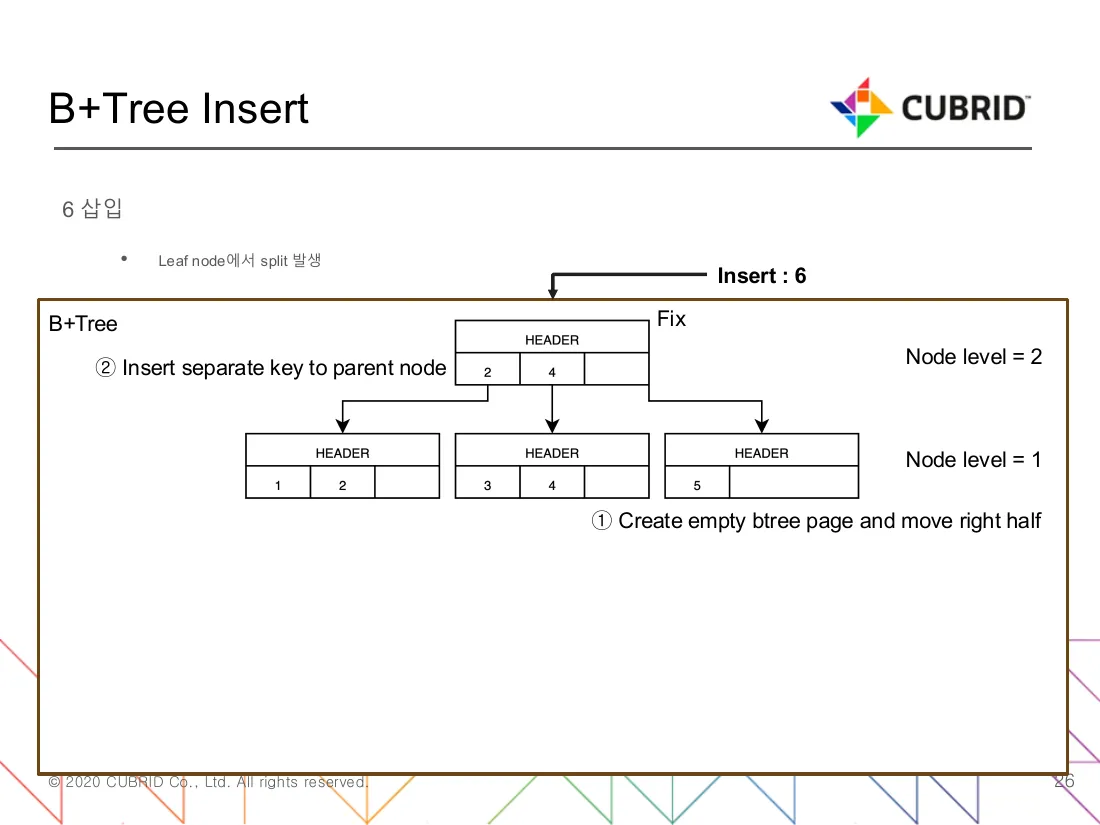 Figure 1 — Leaf split with separator promotion