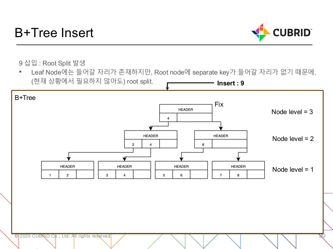 Figure 2 — Root split: a level appears above the old root